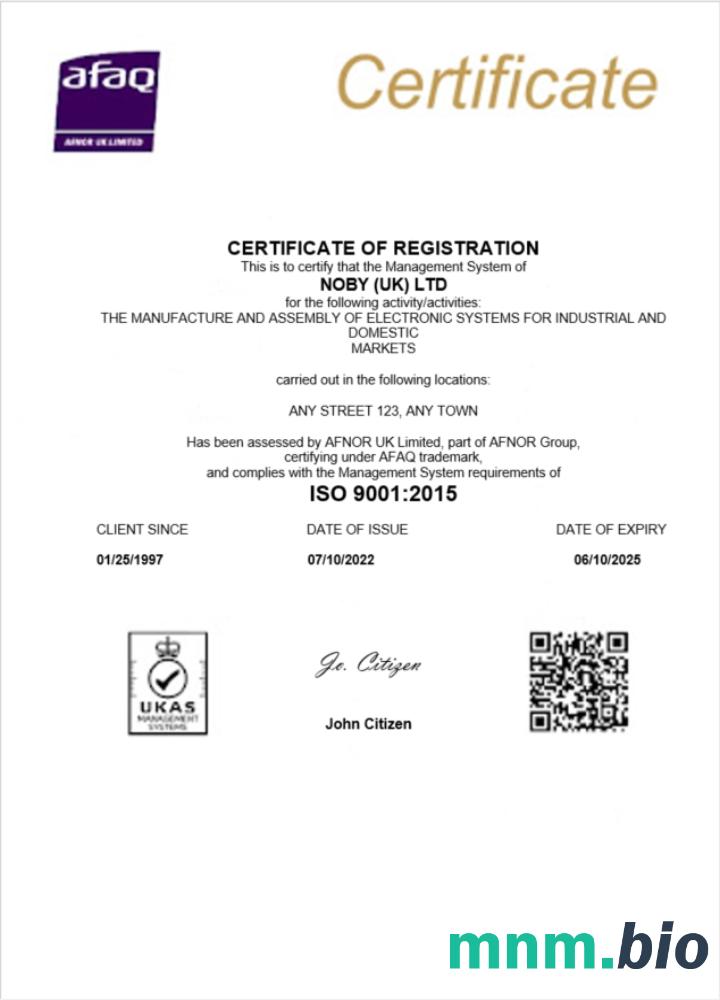 UK Noby Ltd certyfikat rejestracji biznesu Word i PDF szablon